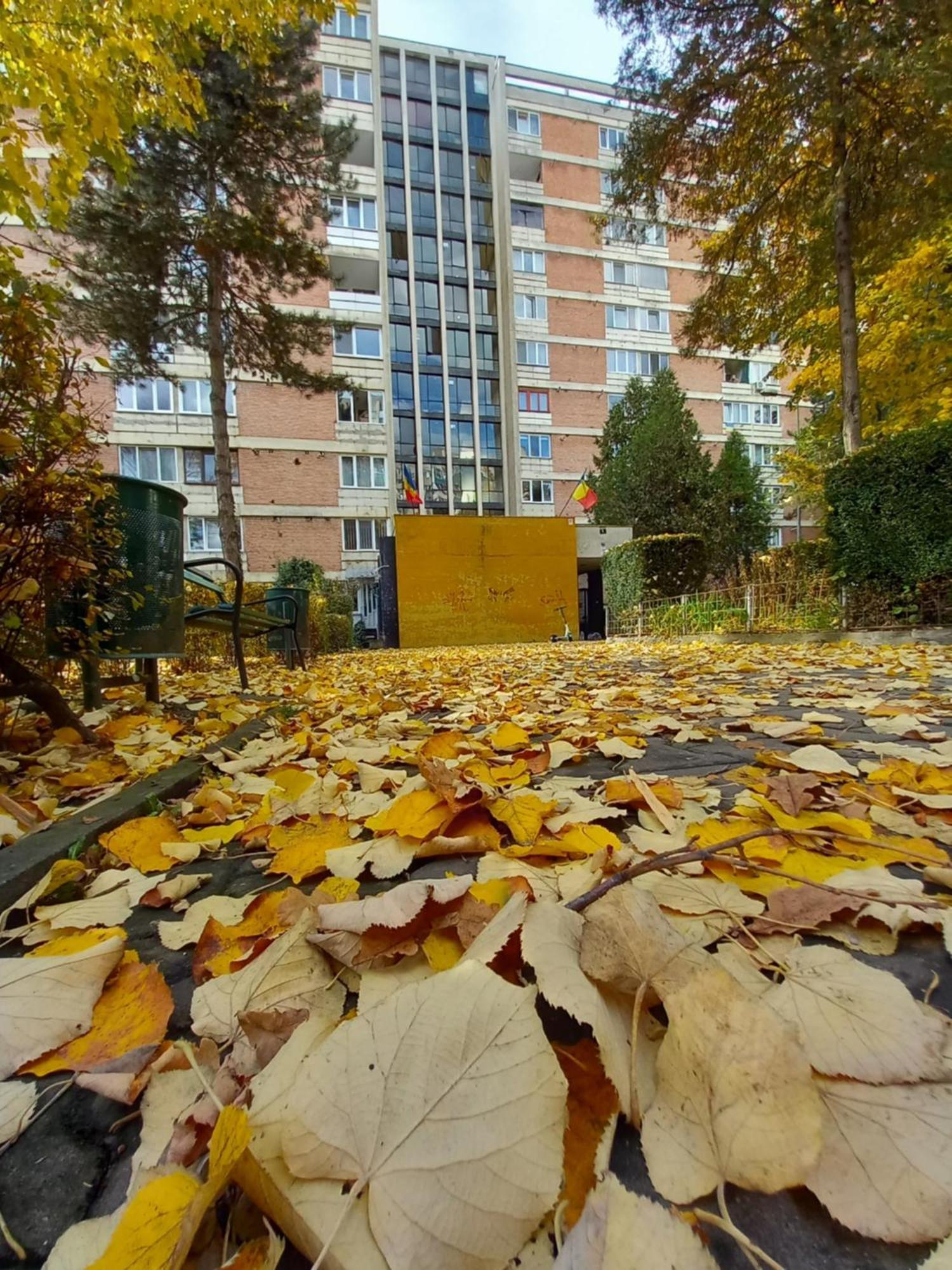 Apartament Dacia Târgu-Mureş 외부 사진