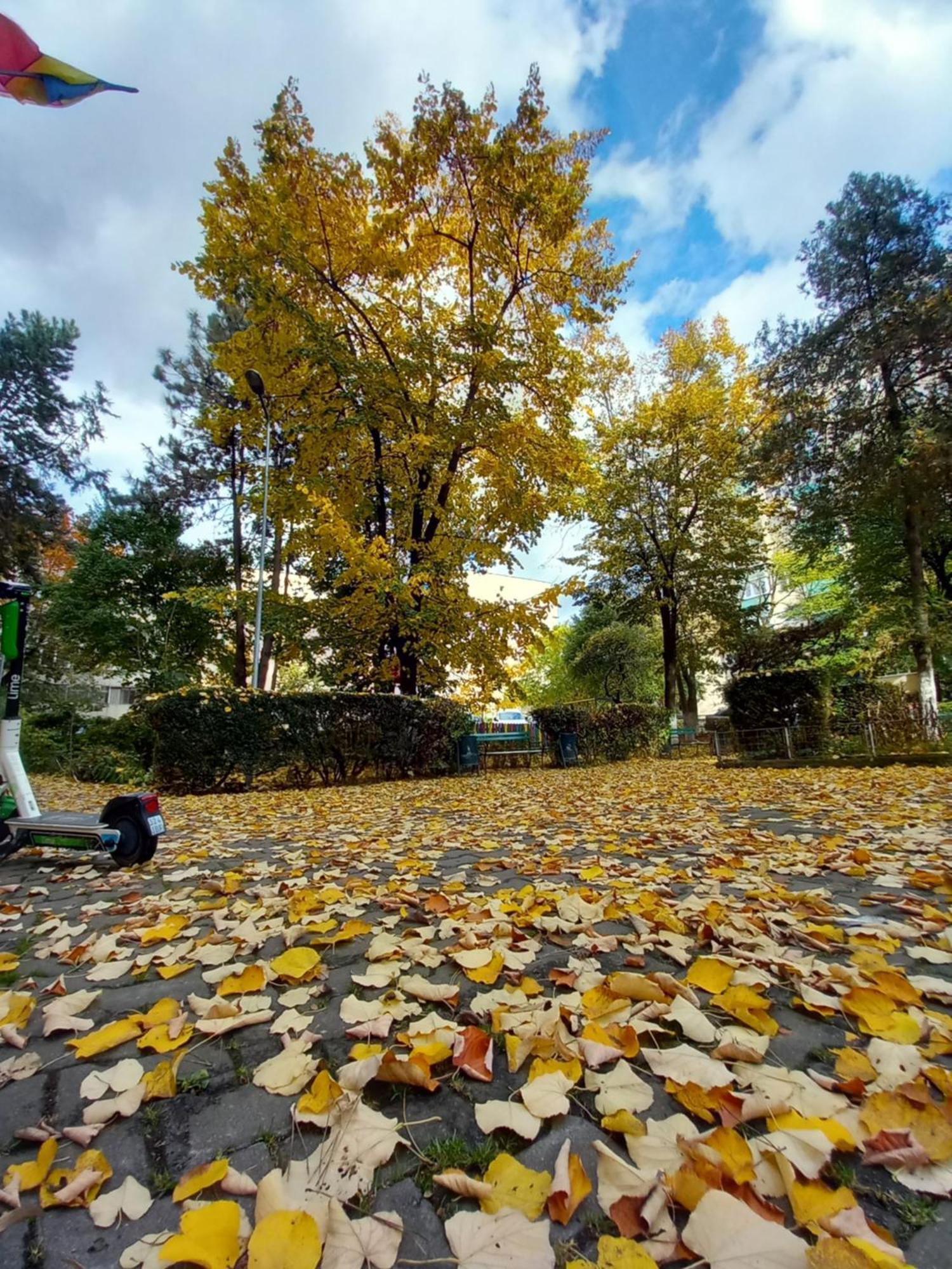 Apartament Dacia Târgu-Mureş 외부 사진