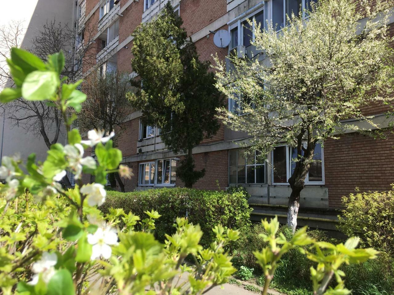 Apartament Dacia Târgu-Mureş 외부 사진